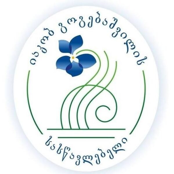 iakob gogebashvili iakob gogebashvili
